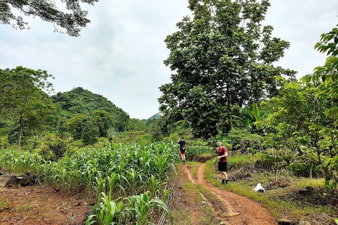 1 Day Ha Giang Loop Tour by Motorbike with Easy Rider - Loopers - Safety, comfort, and the easy rider setup