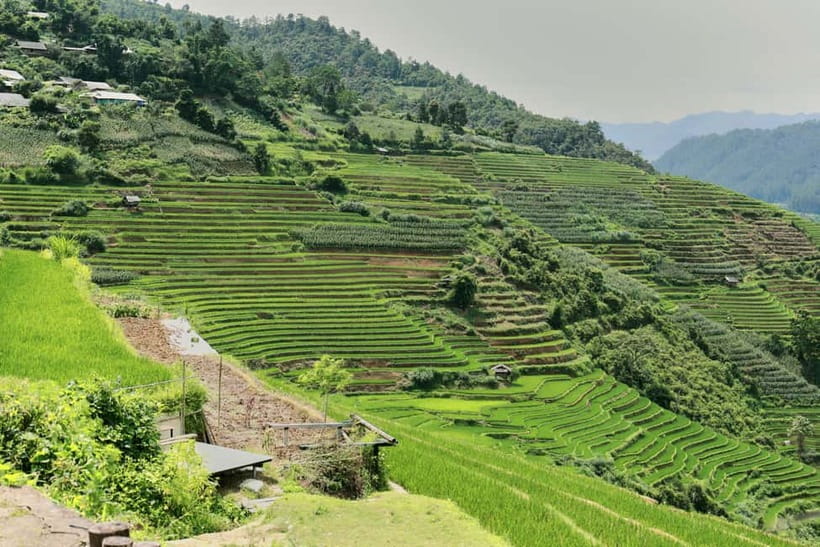 1-Day Sapa Long Trek - Rice Field Terrace, Ethnic Culture - Learning about Hmong textiles and indigo dyeing