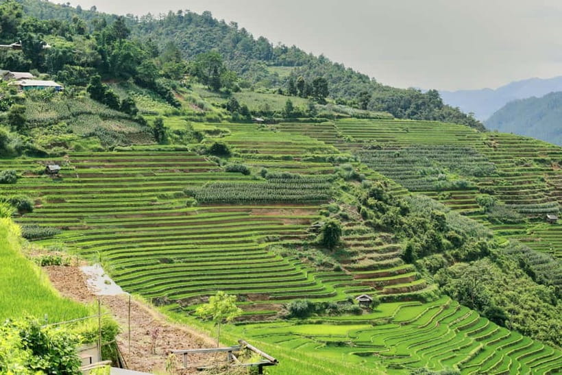 1-Day Sapa Long Trek - Rice Field Terrace, Ethnic Culture - Ta Van and the Dzay village finish