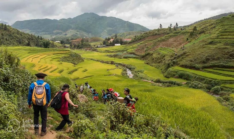 1-Day Sapa Long Trek - Rice Field Terrace, Ethnic Culture - Descending into the rice terraces