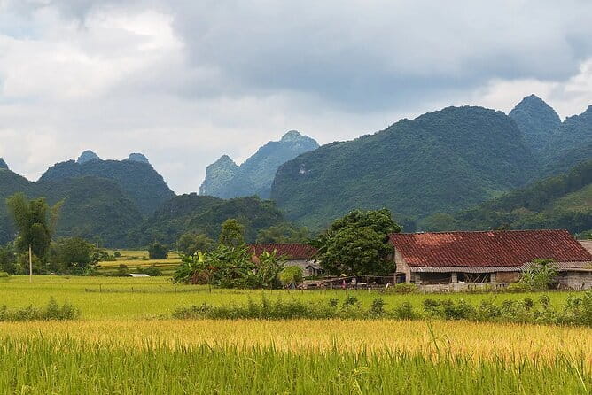 12 Days in Vietnam | Cultural Exploration with Beach Escapes - Day 5: Coconut boats and Hoi An after dark