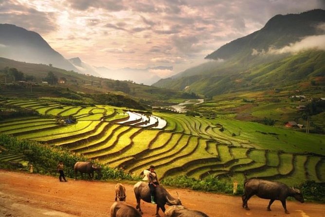15-Day Majestic Vietnam FULL Package - 68% OFF + Bonuses - Ho Chi Minh City opens the southern chapter
