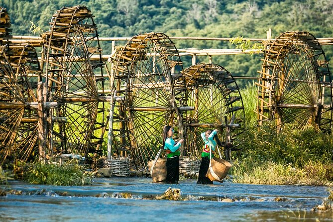 15-Day Vietnam Itinerary All in One | Travel Package 2026-2027 - Ninh Binh’s river caves and royal capital