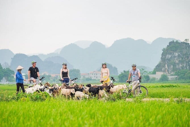 17-Day Vietnam Tour | Explore the Best Highlights of Vietnam - Ninh Binh combines giant temples with river caves