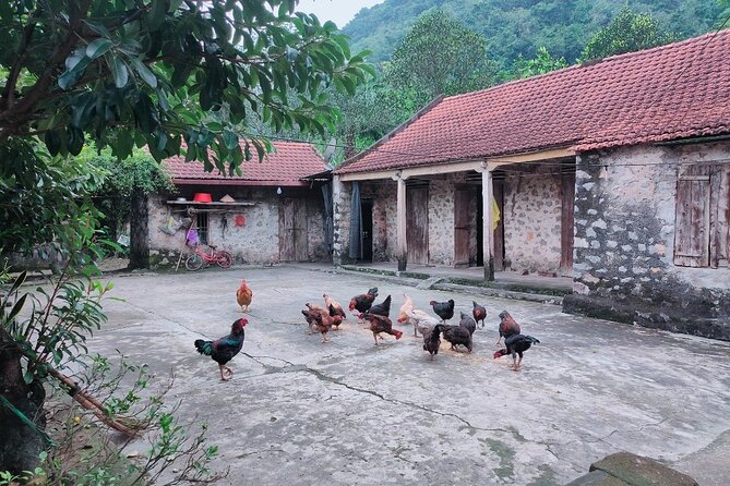2 Days 1 Night Luxury Ninh Binh Private Tour from Hanoi - Cycling, tea, and the first night