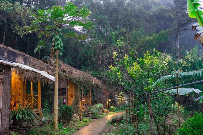 3-Day Trekking Adventure of Sapa from Hanoi - Stay Ta Van Village - Ta Van Village: The Trip’s Comfortable Base