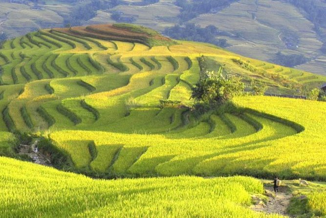 3-Night Sapa Trek and Homestay with Round Trip Transfer from Hanoi - Hanoi station and the overnight rail journey