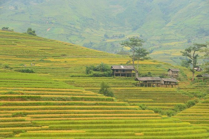3-Night Sapa Trek and Homestay with Round Trip Transfer from Hanoi - The guide can make or break the trek
