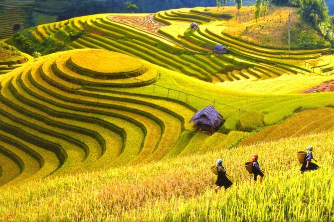 3-Night Sapa Trek and Homestay with Round Trip Transfer from Hanoi - Y Linh Ho and the first mountain views