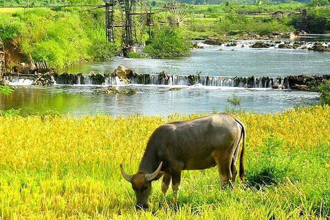 5, 6, 7 day Vietnam Itinerary | Charming | 2026 Northern Packages - Hanoi’s historic core on day one