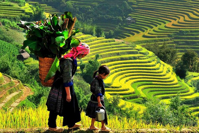 7 Days Vietnam Travel (Hanoi- Ninh Binh - Sapa - Ha Long) - Day 5: Ha Long Bay by boat, cave, and island