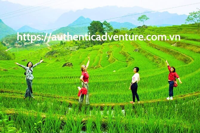9-Day Vietnam Tour | Explore the North and Central | Top Packages - Key points at a glance