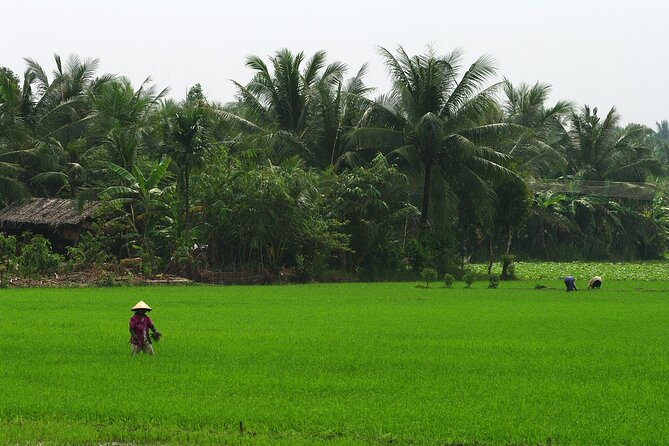 Adventure Cu Chi Tunnels and Mekong Delta Tour From HCM - What the $29 price really covers