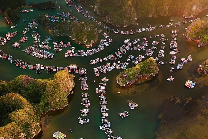 Amazing day - Boat trip discover real Ha Long Bay and Lan Ha Bay - Setting out from Cat Ba and Beo Pier