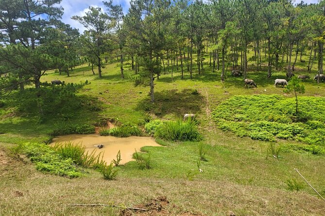 ATV Tour In The Dalat Mountains - Riding Da Lat’s lesser-known mountain trails