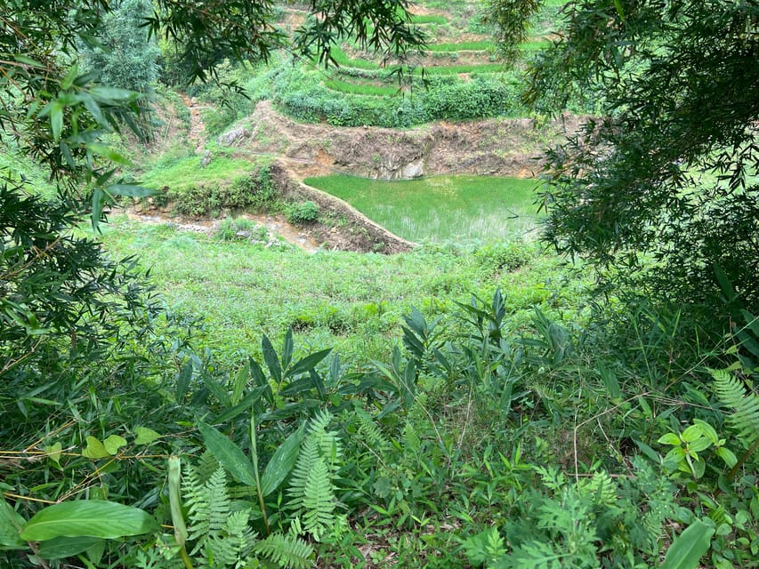 AUTHENIC 2D1N Trek & Bungalow Retreat with Dinh Hmong Family - The family homestay in Ta Van