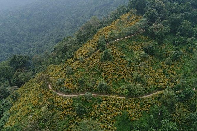 Ba Vi National Park Private Tour: Sightseeings & Jungle Hikking - The 8:00 am pickup and drive north