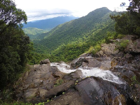 Bach Ma National Park trekking daily tour from Da Nang, Hoi An - Key points to know before booking