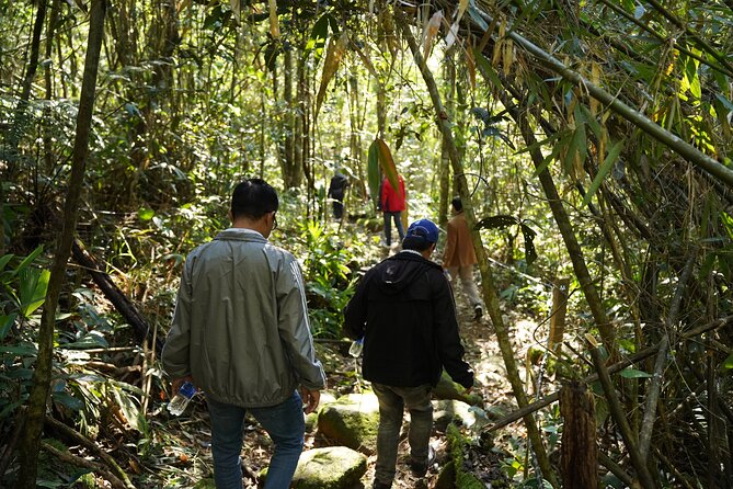 Bach Ma National Park trekking daily tour from Da Nang, Hoi An - The Five Lakes trail is where the adventure begins