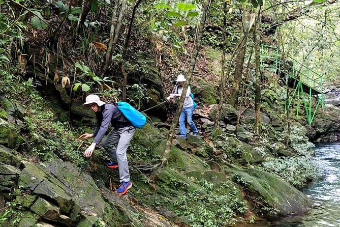 Bach Ma National Park trekking daily tour from Da Nang, Hoi An - What the $69 price really covers