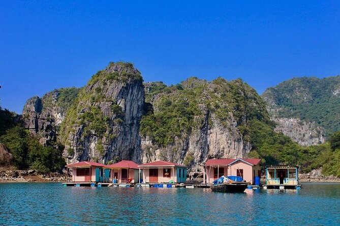 Bai Tu Long Bay 2 Day 1 Night Cruise - Swimming, sunbathing, and night fishing
