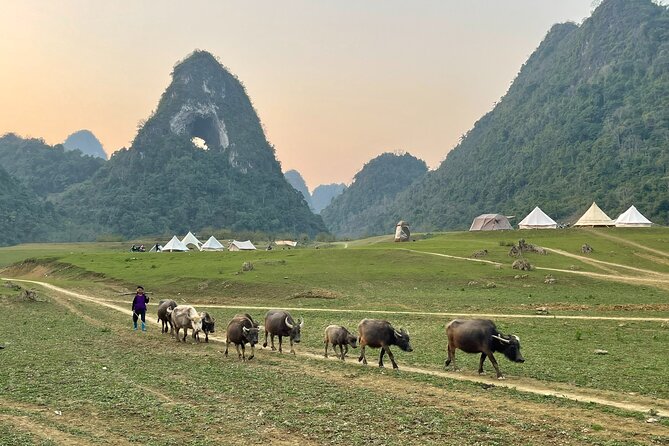Ban Gioc Waterfall & Mt Angel Eye Full Day Trip with Easy Rider - Nguom Ngao Cave and its Tiger Cave name