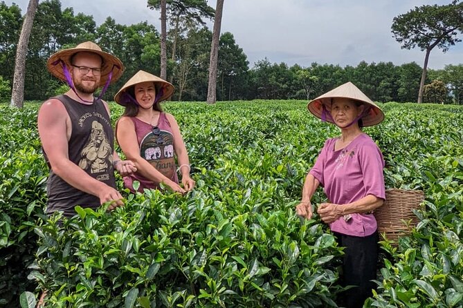 Bavi Eco Tour: Immerse in Authentic Village Life Outside Hanoi - Why Ba Vi makes a good break from Hanoi