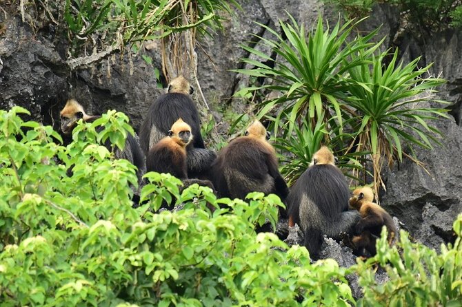BEST UNIQUE 3-Day Halong Bay Cruise, Lan Ha & Cat Ba Island - Crossing toward Cat Ba Island