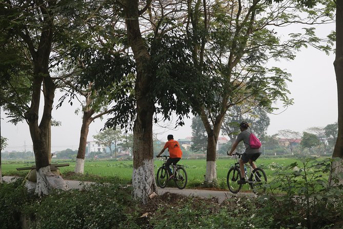 Bicycle Tour Full Day Explore Red River Delta & Rural Villages - Rice paddies and wet-rice culture