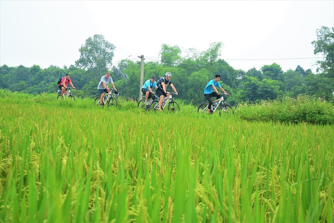 Bicycle Tours Hanoi: Full Day Bicycle Tour Hanoi Countryside - Meeting a family and seeing bonsai work in Lai Da