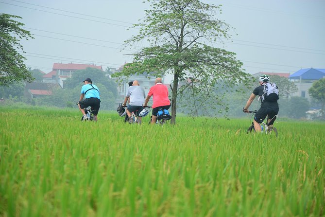 Bicycle Tours Hanoi: Full Day Bicycle Tour Hanoi Countryside - Co Loa Citadel and the ancient side of the countryside