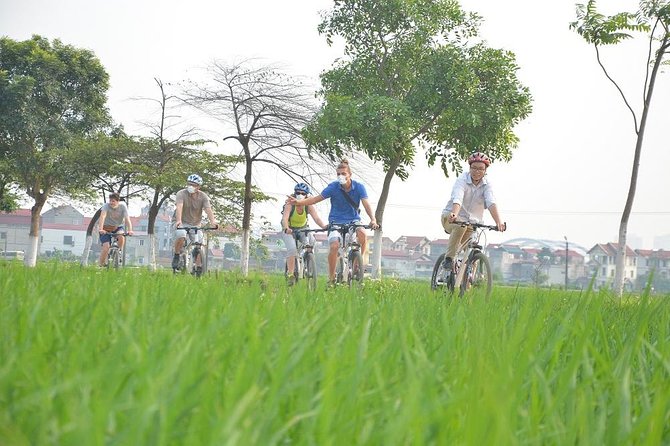 Bicycle Tours Hanoi: Full Day Bicycle Tours City & Countryside - A bonsai family in Lai Da