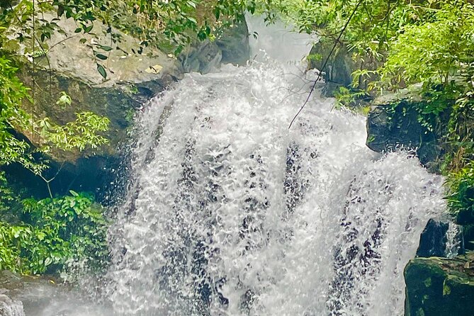 Botanic Garden - Paradise Cave - Zipline - Mudbath at Dark Cave - Why this Phong Nha day works so well