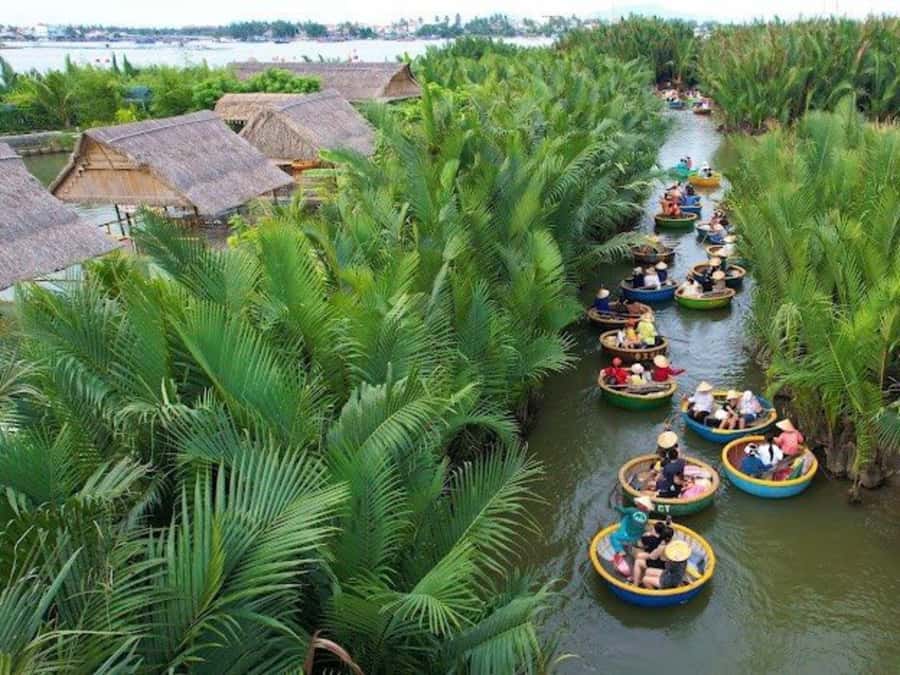 BUFFALO RIDING -BASKET BOAT & BIKE TOUR-HOI AN - Is $29 Good Value?