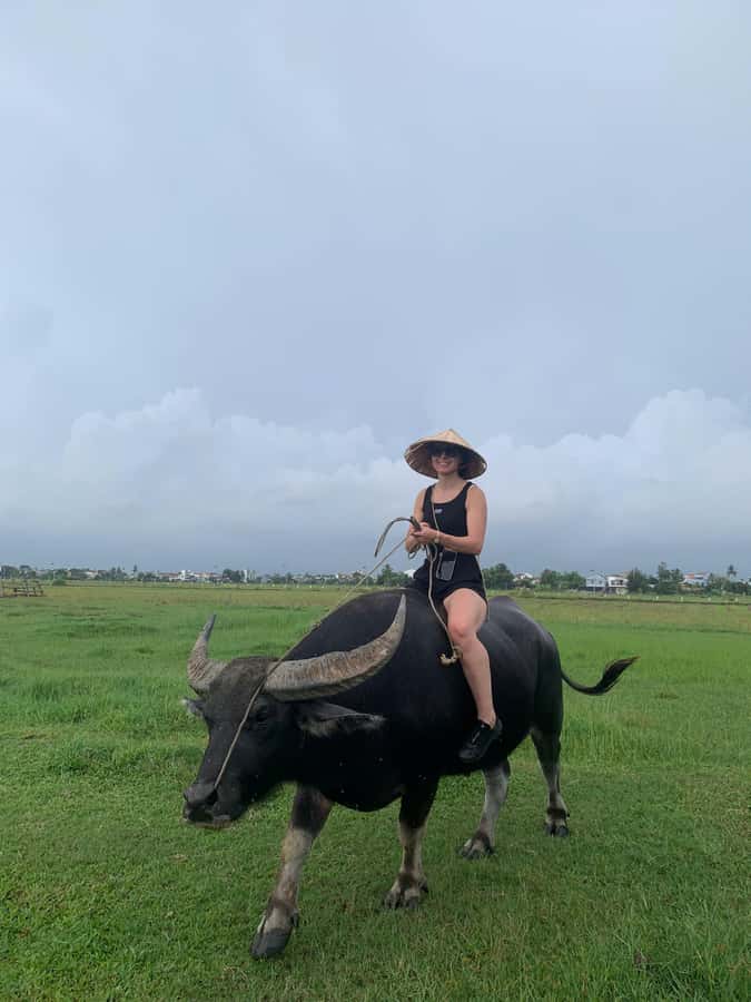 BUFFALO RIDING -BASKET BOAT & BIKE TOUR-HOI AN - Paddling Through the Nipa Palm Forest
