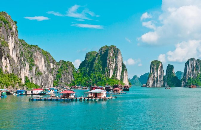 Buffet on Paradise Delight Dining Cruise Halong Bay Tour - Key points before you book