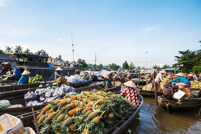 Cai Rang Floating Market & Mekong Delta 2-Day Tour from HCM City - Key points to know before booking