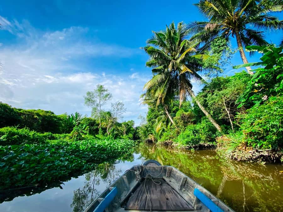 Can Tho: A Real Mekong Tour, Floating Market, Cacao & Life's - The 9-Cua family rice noodle house