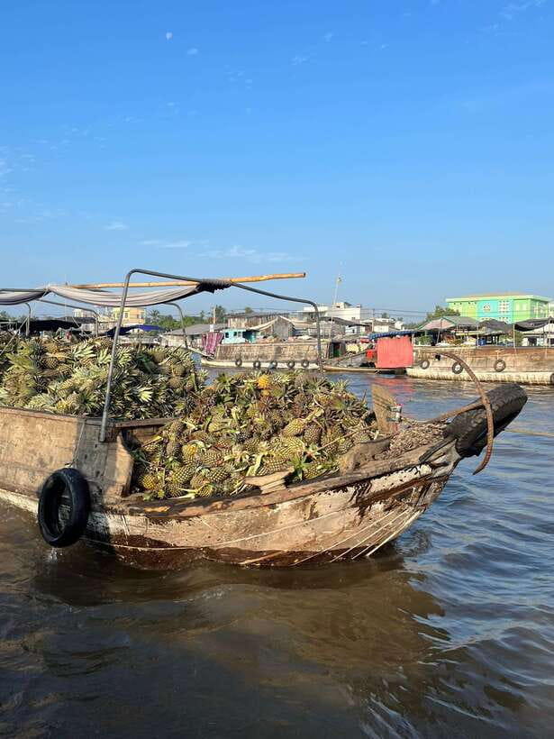 Can Tho: Cai Rang Floating Market and Canals - Noodle soup, coffee, pineapple, and market snacks