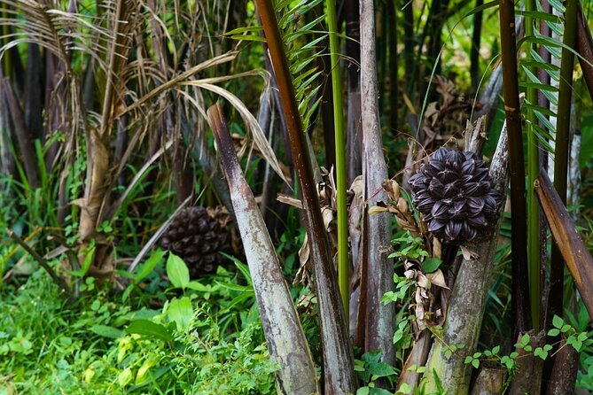 Can Tho Floating Market and Fruit Garden Tour - What the guide adds to the morning