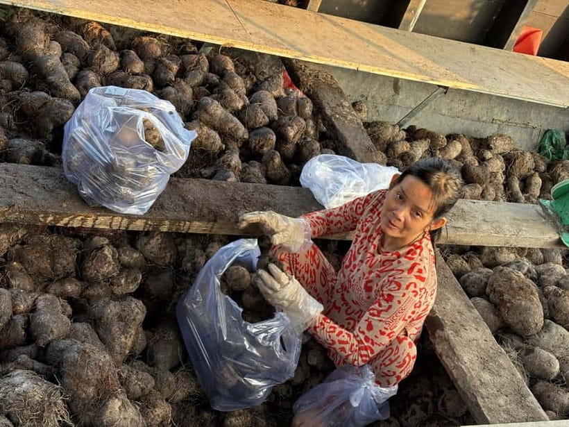 Can Tho: Floating Market, Cacao & Canals with French Guide - The guide makes the difference