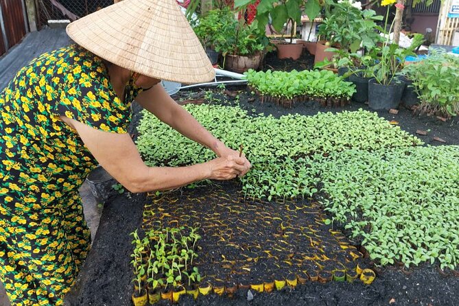 Can Tho: Floating Market, Canals, Nature Reserve & Forest - The noodle factory: a useful working stop