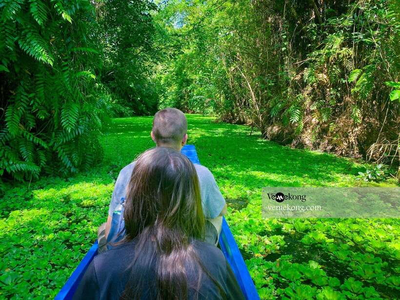 Can Tho: Lung Ngoc Hoang Forest Nature Reserve Half-Day Tour - The 25-meter tower and seasonal rice fields