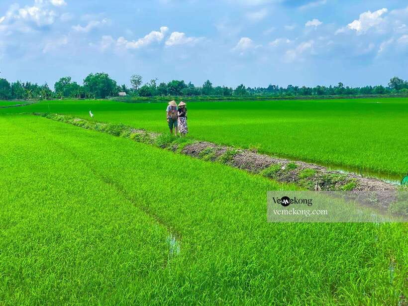 Can Tho: Lung Ngoc Hoang Forest Nature Reserve Half-Day Tour - Walking the 1.2-kilometer forest path