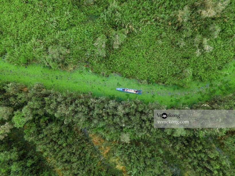 Can Tho: Lung Ngoc Hoang Forest Nature Reserve Half-Day Tour - Who should book this tour?