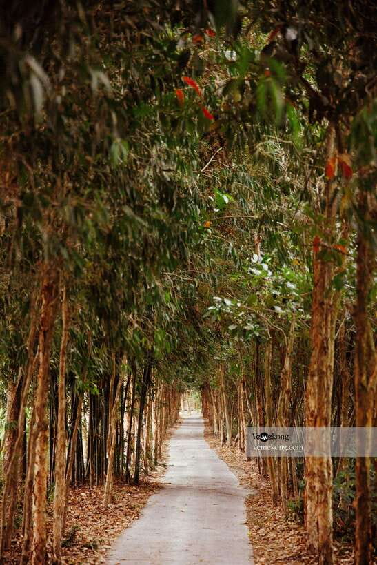 Can Tho: Lung Ngoc Hoang Nature Reserve & Forest Tour - Why Lung Ngoc Hoang makes a good change from Can Tho