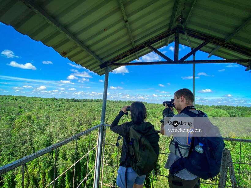 Can Tho: Lung Ngoc Hoang Nature Reserve & Forest Tour - Gliding through the wetland forest by boat