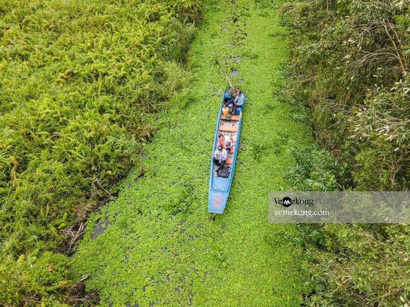 Can Tho: Lung Ngoc Hoang Nature Reserve & Forest Tour - The 25-meter tower and seasonal rice fields