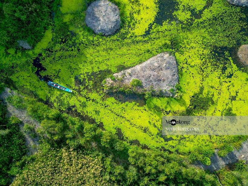 Can Tho: Lung Ngoc Hoang Nature Reserve & Forest Tour - What the guides add to the experience