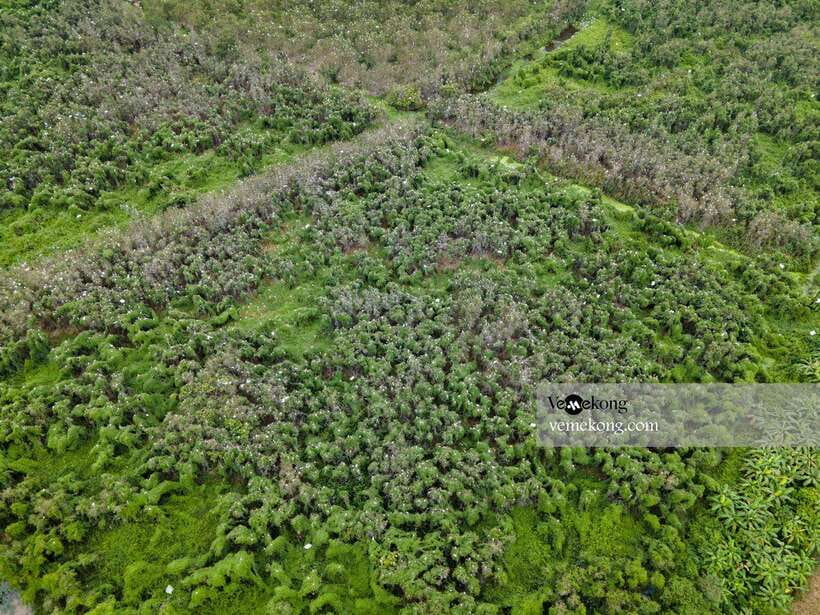 Can Tho: Lung Ngoc Hoang Nature Reserve & Forest Tour - How the $47 price holds up